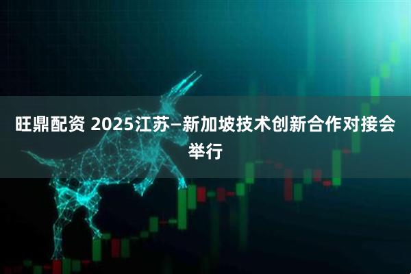 旺鼎配资 2025江苏—新加坡技术创新合作对接会举行