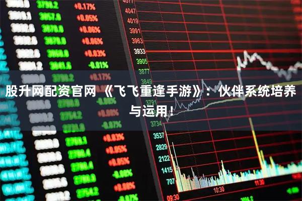股升网配资官网 《飞飞重逢手游》：伙伴系统培养与运用！